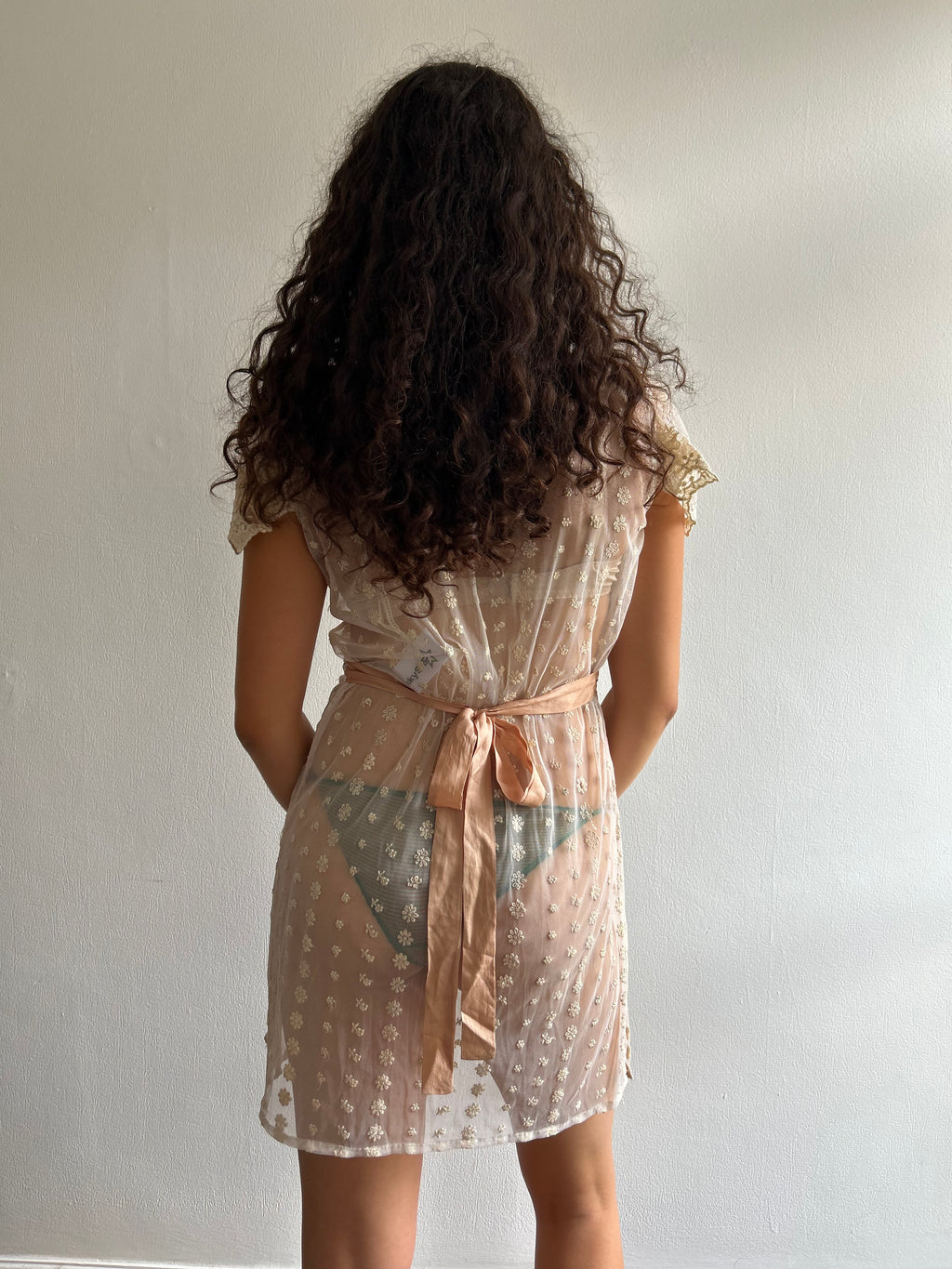 Sheer Embroidered Mini Dress