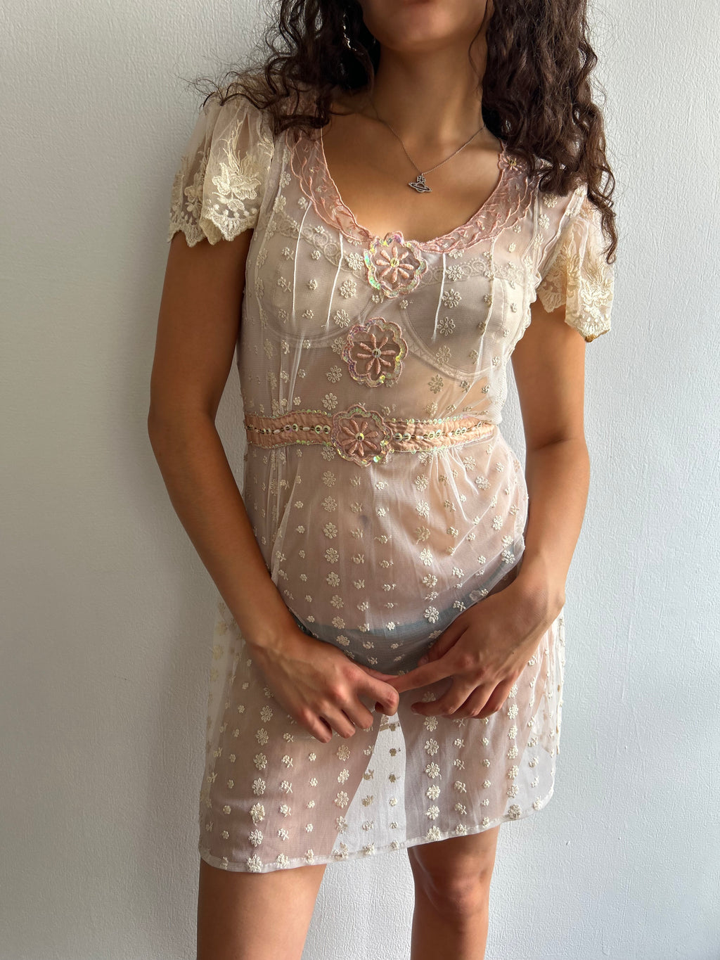 Sheer Embroidered Mini Dress