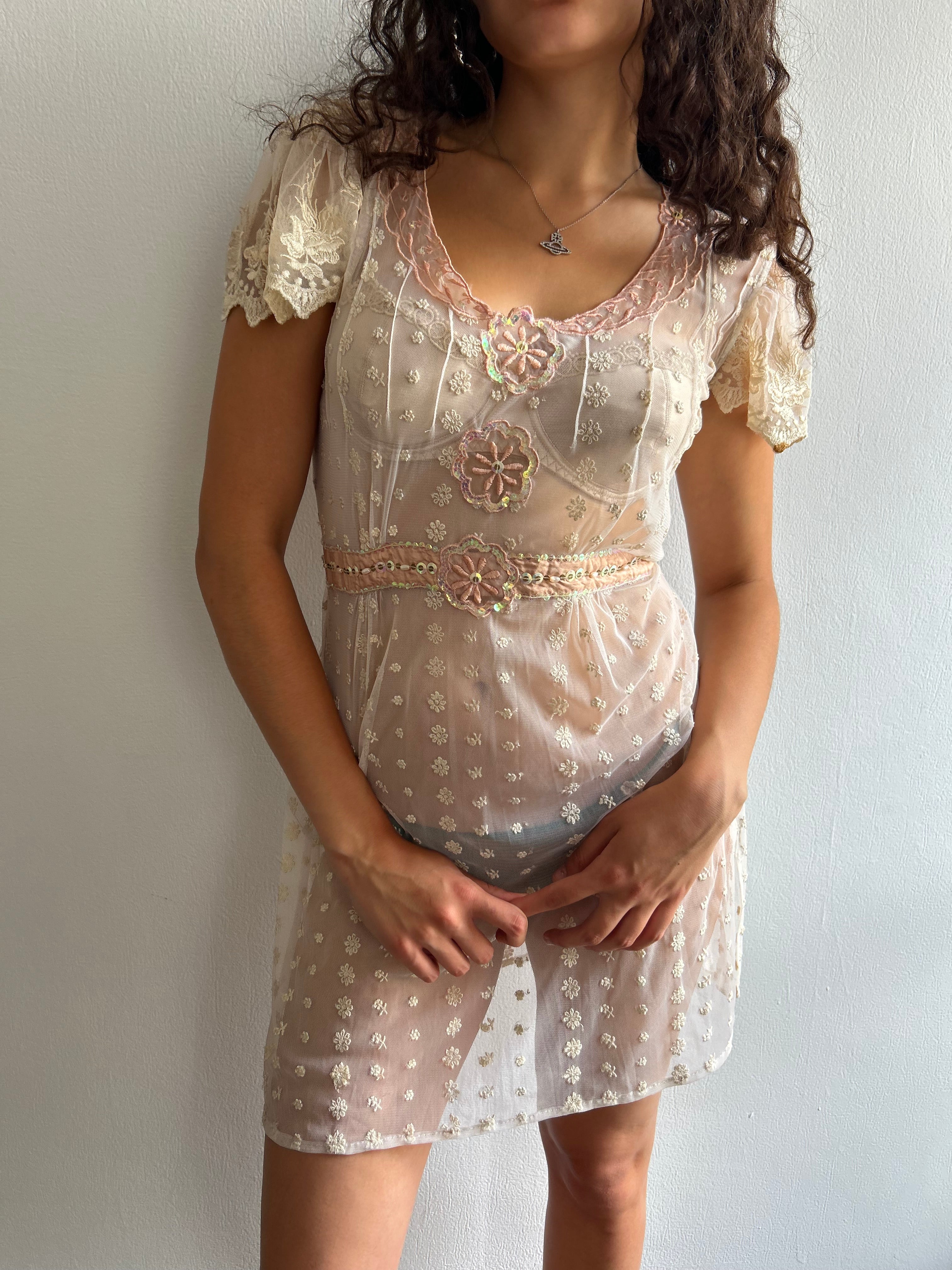 Sheer Embroidered Mini Dress
