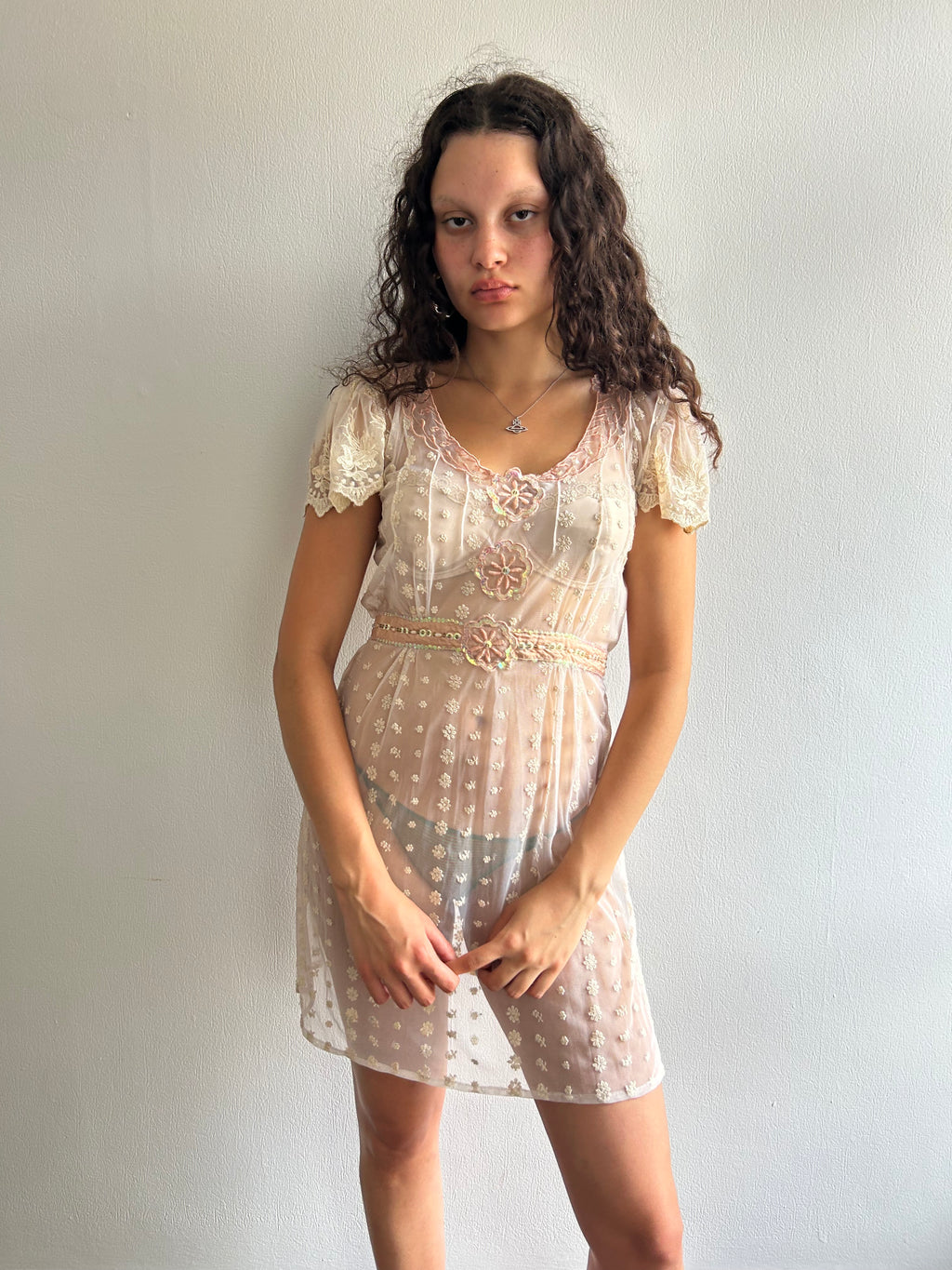 Sheer Embroidered Mini Dress