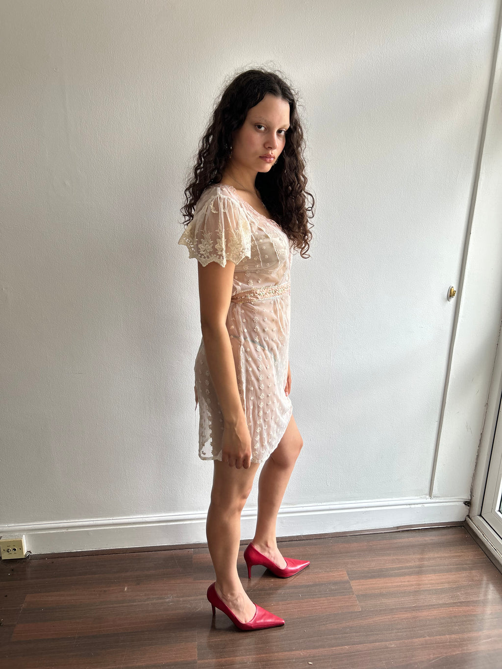 Sheer Embroidered Mini Dress