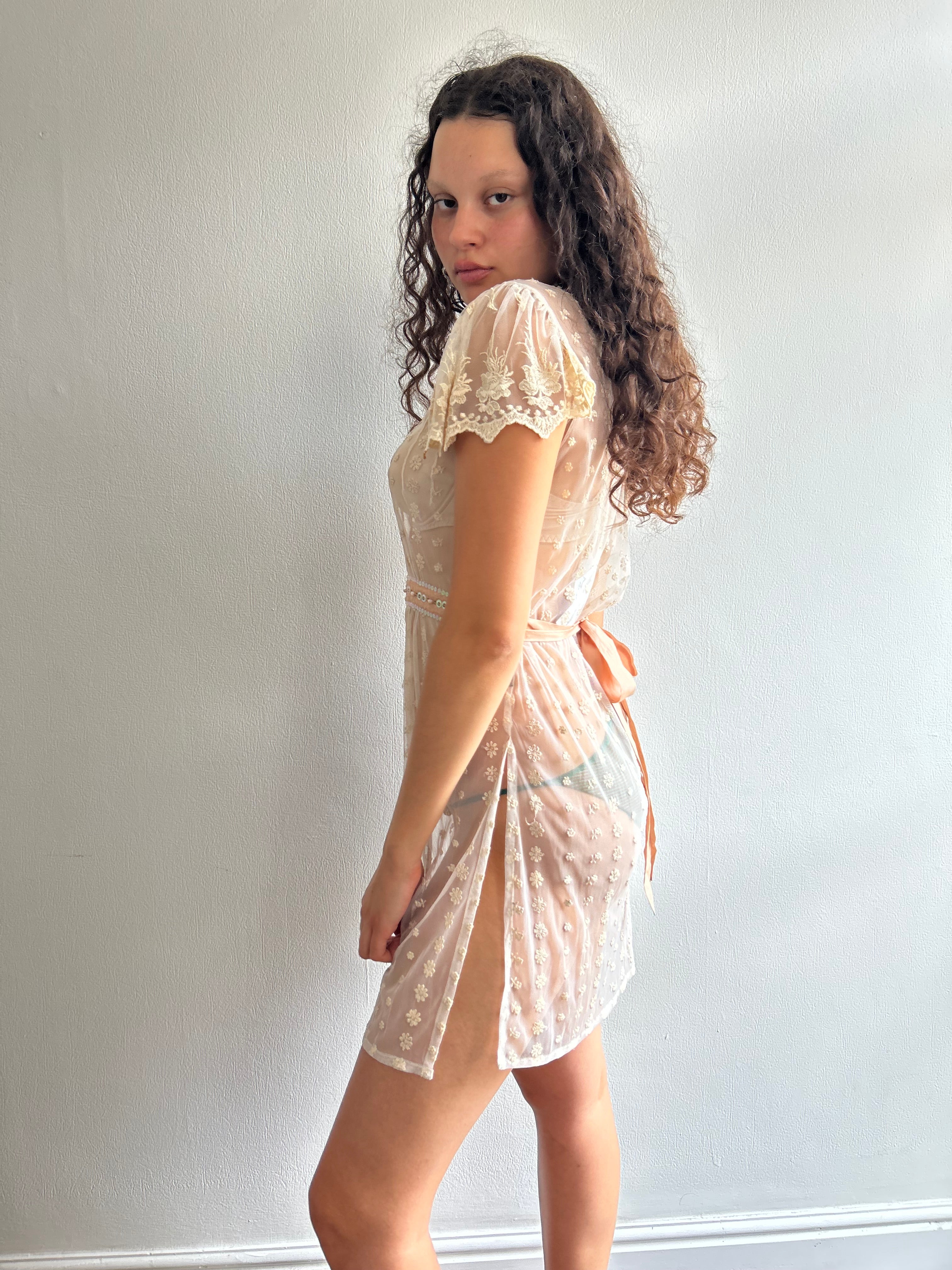 Sheer Embroidered Mini Dress