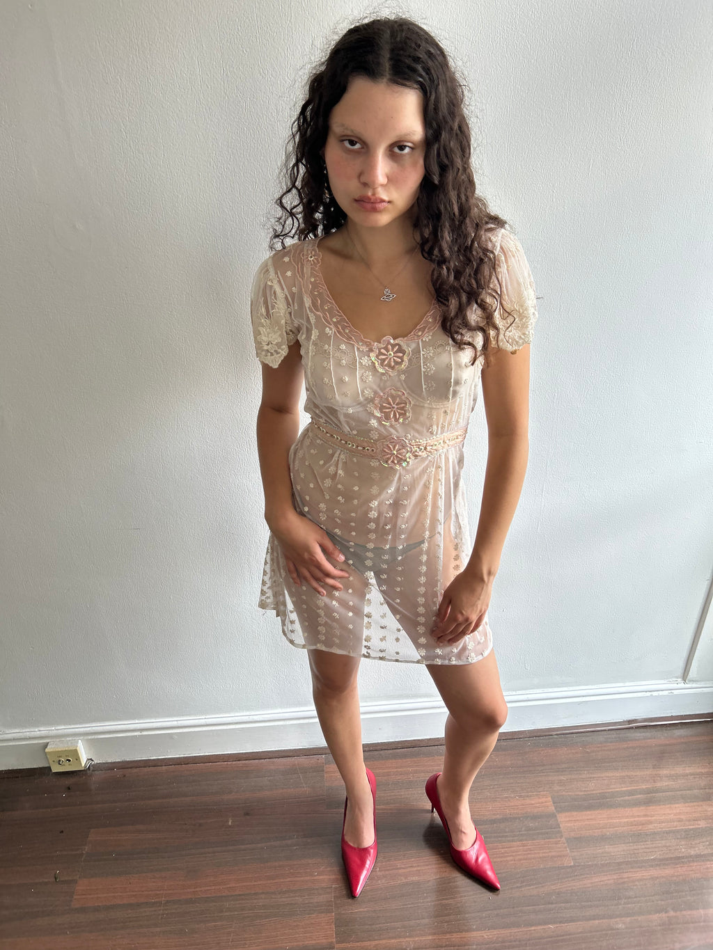 Sheer Embroidered Mini Dress